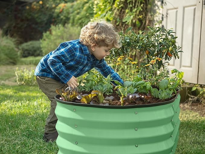 Plant &amp Plot Galvanized Raised Garden Beds Outdoor // 4×2×1 ft &amp 4×4×1 ft Planter Raised Beds for Gardening Vegetables Flowers // Large Metal Garden Box (Light Green)