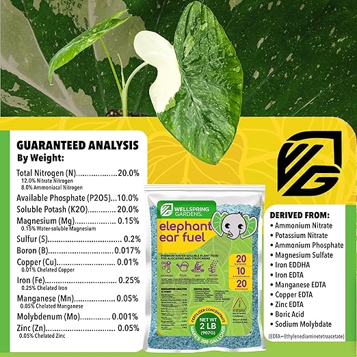 Elephant Ear Fertilizer Fuel - 2 Pounds - Water-Soluble 20-10-20 Blend - Wellspring Gardens