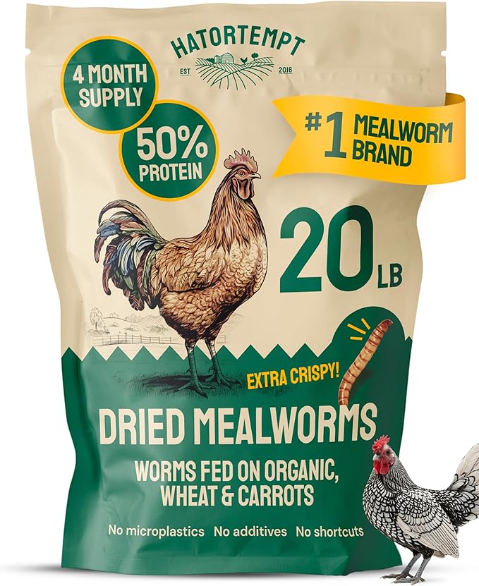 Hatortempt 20lb Dried Mealworms for Chickens - 50% Protein and 32% Essential Fats to Support Healthy Feather Growth During Molt - Organic Treats for Chickens Ducks Wild Birds &amp Reptiles
