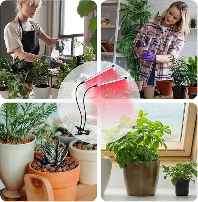 2 Heads Red Blue Grow Lights for Indoor Plants Clip On LED Plant Light Plant Growing Lamp with 3/9/12H Timer 3 Light Modes Adjustable Gooseneck(Clip-2Head)