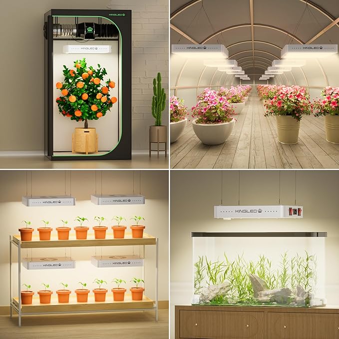 Kingled KP2000 LED Grow Light Full Spectrum Grow Lights with Veg Bloom Mode High PPDF for 3x3 Ft Coverage Indoor Hydroponic Grow Tent Light for Seedling to Flowering