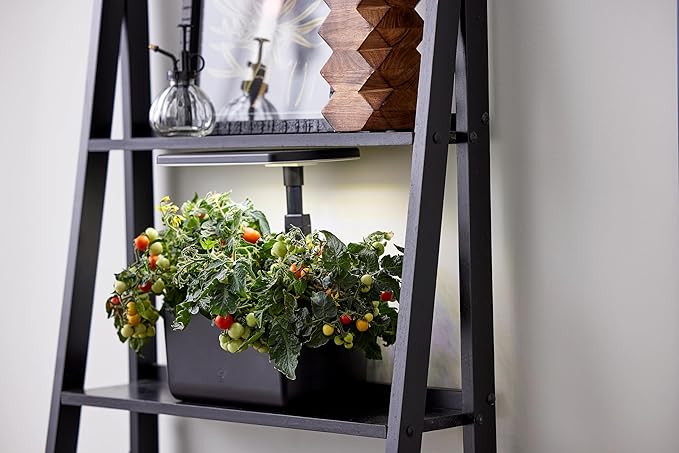 AeroGarden Harvest Lite in Black Soil-Free Indoor Hydroponic Garden with LED Grow Light for Year-Round Gardening of up to 6 Herbs and Vegetables