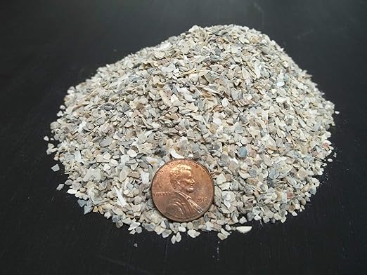 Byndgardenstore Crushed Oyster Shell Organic Fertilizer Soil Mineral Compost Nutrient 20 LB FINE