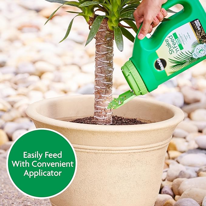 Miracle-Gro Shake 'N Feed Palm Plant Food For Container and In-Ground Plants Palm Trees Cycads and Tropical Plants 4.5 lbs.