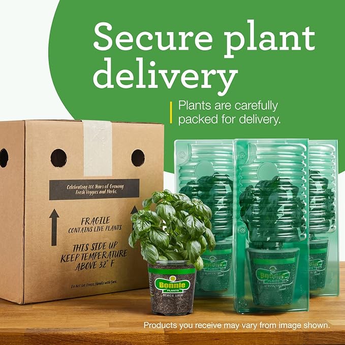 Bonnie Plants Big Beef Tomato 19.3 oz. 4-pack