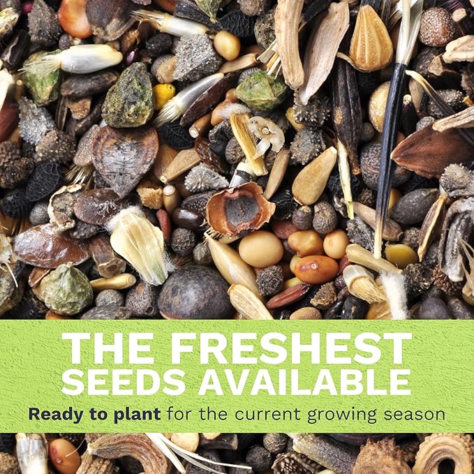 Southeast Regional Mix - Bulk 1/4 Pound Pouch - 48000 Flower Seeds for Planting - Wildflower Mix