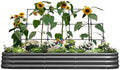 KING BIRD Raised Garden Bed with Wall Trellis Galvanized Planter Garden Box Outdoor for Gardening Climbing Vegetables Flowers 7.87x3.94x0.98 Ft Dark Grey