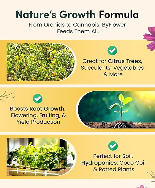 ByFlower Water-Soluble House Plant Fertilizer 1 lb – Organically Enhances Soil Quality for Thriving Plants - Vegan Garden Fertilizer Supports Healthy Growth
