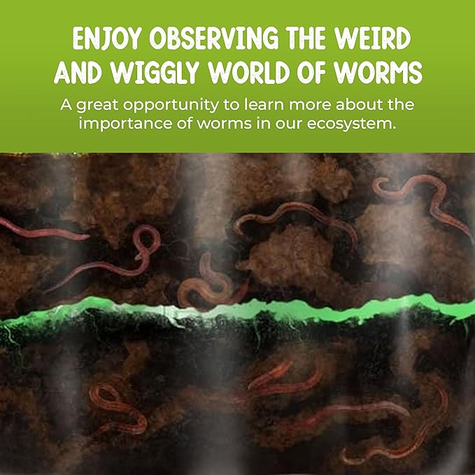 Worm Farm for Kids Shipped with Live Worms - Observation Kit with Ecosystem Soil Mixing Sand Magnifying Glass &amp More from Nature Gift Store