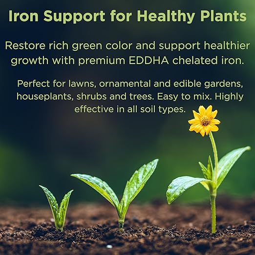 Seed Soil and More-Proferril 6% EDDHA Chelated Iron-100% Water Soluble Iron Chelate for Greener Plants - Corrects Iron Chlorosis &amp Yellow Leaves - for soils with ph Above 7 - Made in USA - 2 Pound
