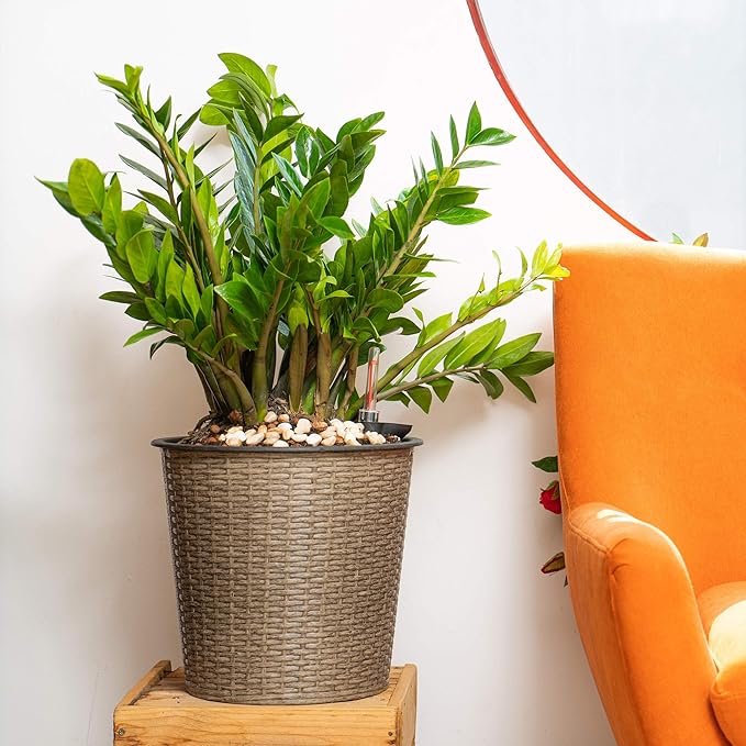 13 in.Gray Wicker Self Watering Planter