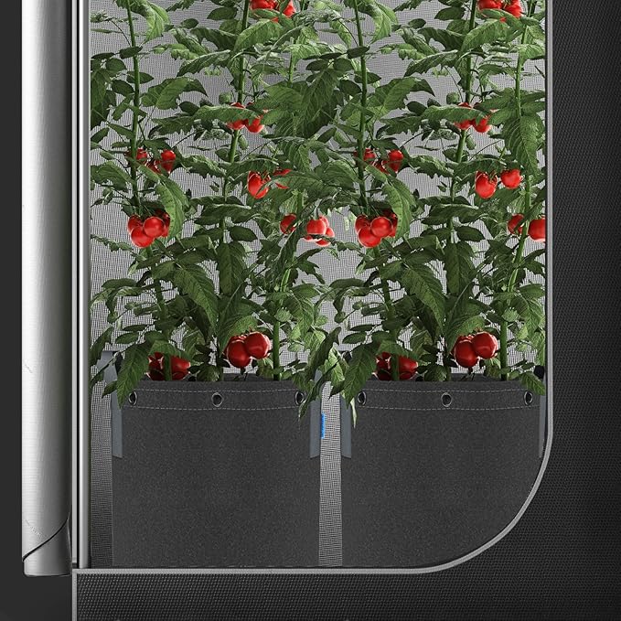 AC Infinity Heavy Duty Fabric Pots 10 Gallon Aeration Reusable Grow Bags 5-Pack with 500G Thick Nonwoven Fabric and Multi-Purpose Rings for Low Stress Plant Training Fruits Vegetables and Flowers