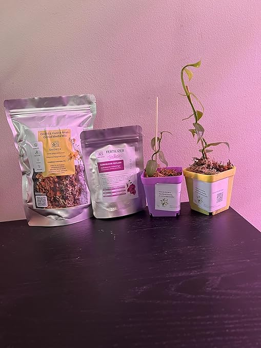 GROW24 Vanilla Orchid Starter Plant kit 4-inch Pots Plus Media Mix and Slow Release Fertilizer (2)