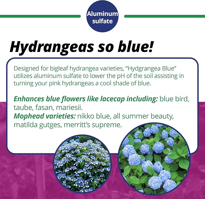Jack's Classic 7-3-3 Hydrangea Blue Water-Soluble Fertilizer with Micronutrients to Enhance Blue Flowers 1.5lbs