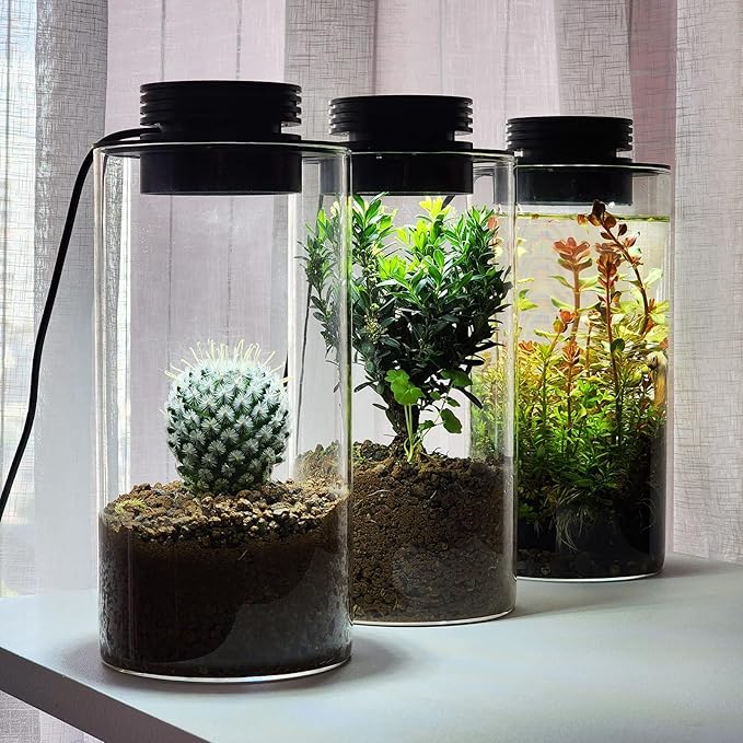 Desktop Glass Plant Terrarium with Grow Light (H:7.8 D:4) for Succulent Moss Miniature Gardening Landscape Betta Fish Tank Office Home Decoration Plant Lovers Gifts