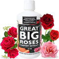 Great Big Roses – Soil and Rose Fertilizer Booster to Grow The Best Roses and Flowers Rose Food Compost Extract for Rose Bush 32 Ounce Concentrate (Makes 8 Gallons)
