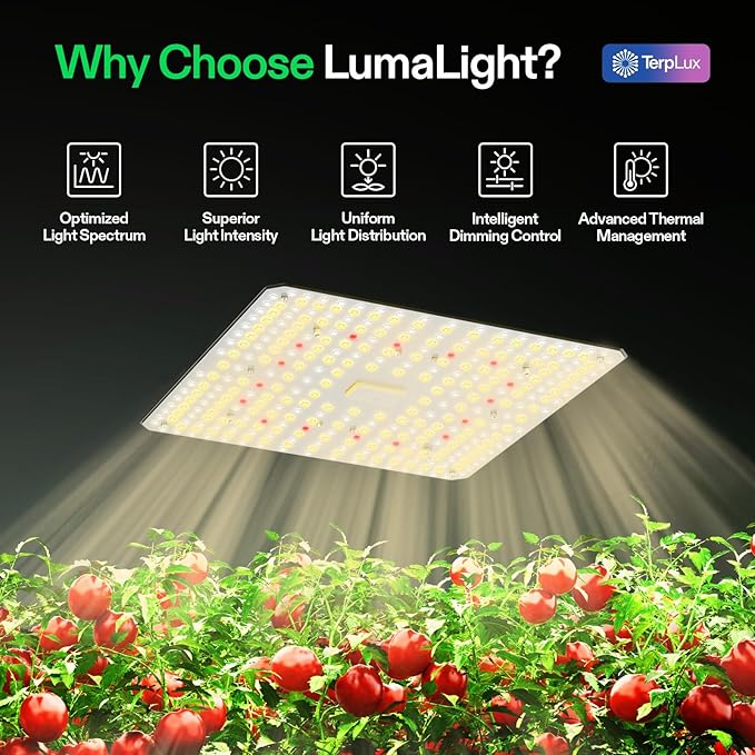 VIVOSUN LumaLight 100W LED Grow Light and P224 24×24×48 PRO Grow Tent with Thick 1 inch Poles Strengthened High Reflective Mylar Oxford Fabric &amp Extra Hanging Bars