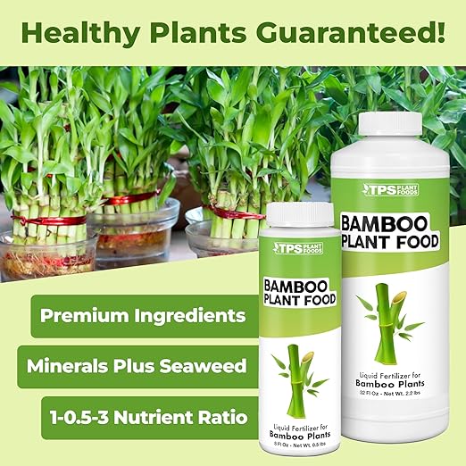 Bamboo Plant Food – Liquid Plant Food for New Shoot Growth Rich Green Leaves &amp Strong Root Development 32 oz