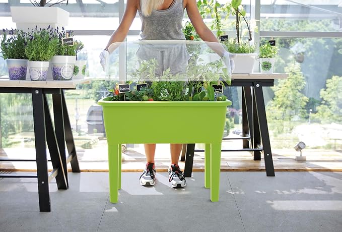 Zanvic Spa Urban Garden Planter Pistachio