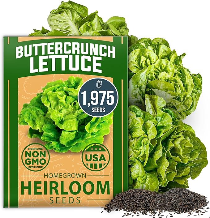 HOME GROWN 𝗨𝗦𝗔 𝗣𝗥𝗘𝗠𝗜𝗨𝗠 Arugula Roquette Seeds Pack 2175 &amp Banana Pepper 94 &amp Beefsteak Tomato 300 &amp Buttercrunch Lettuce 1975