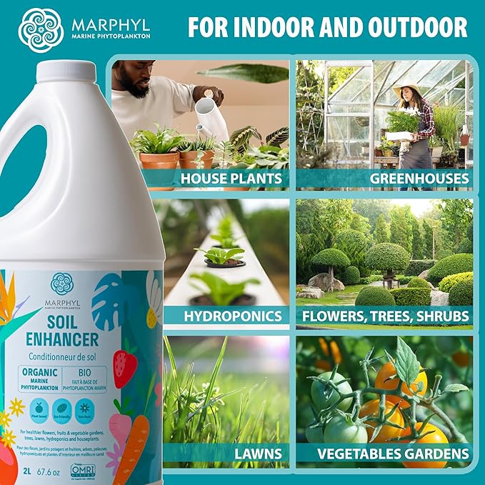 MARPHYL All-Purpose Plant Food – Organic Nutrient-Rich Fertilizer &amp Soil Enhancer for Indoor &amp Outdoor Flowers Vegetables Succulents Bamboo &amp Hydroponics