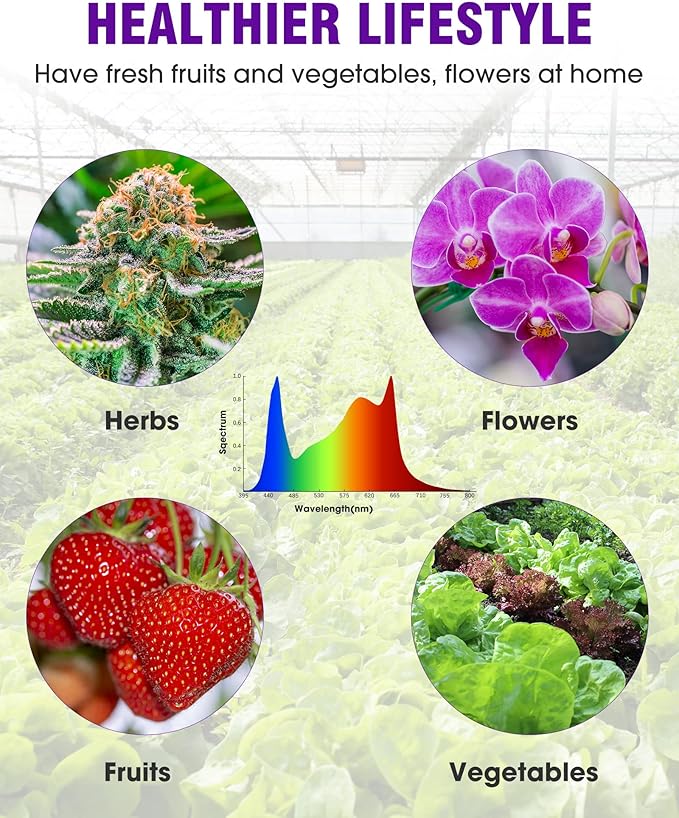 HitLight LED Grow light with 288 US Patented LEDs 2x2ft Coverage Dimmable Full Spectrum Plant Grow Lights for Indoor Plants Seeding Veg Flower Greenhouse Sunlike Growing Lamps UL-Listed Driver 120W