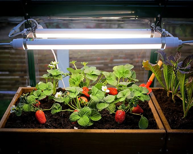 Palram - Canopia Greenhouses LED Grow Light for Plants Vegetables Fruits Flowers Growth Plant Light