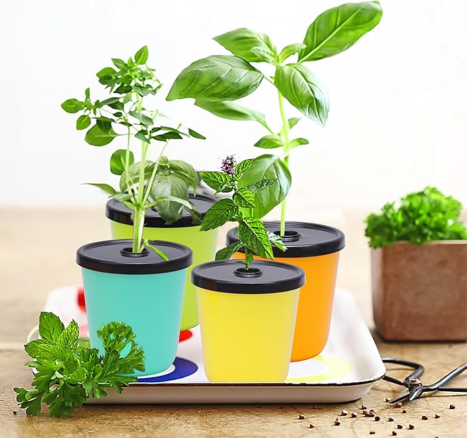 Kratky Method Hydroponic Planter Kit 8 Hydroponic Planter Plus 24 Growing Sponges for Herbs Hydroponic Mini Buckets for Windowsill Herb Garden Hydroponic Growing System for Vegetables