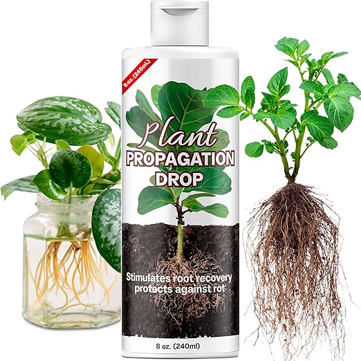 Plant Propagation Drops Prop Solution for Healthier Roots &amp Recovery of Struggling Houseplants 8oz.