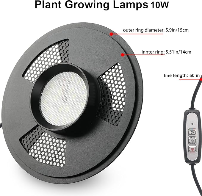 Desktop Glass Plant Terrarium with Grow Light(L7.8 W7.8 H14) for Succulent Moss Miniature Gardening Landscape Betta Fish Tank Indoor Plant Growth Office Home Decoration (TimeControlled)