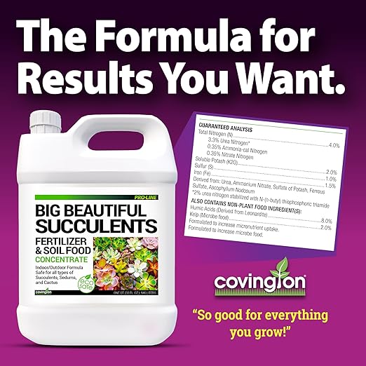 Covington Succulent Fertilizer Liquid (32oz) – Cactus &amp Succulent Plant Food for Indoor and Outdoor Use – Slow Release Liquid Fertilizer for Houseplants – Made in USA