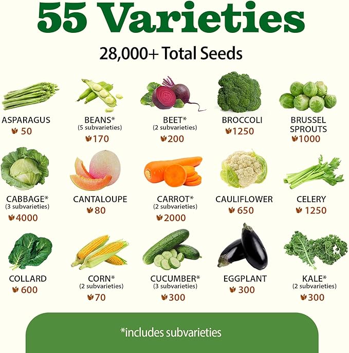 HOME GROWN 55 Vegetable Seeds Pack 28000+ Non-GMO Heirloom Seeds for Planting Vegetables Survival Seed Vault Garden Kit for Spring Fall Winter Gift for Gardeners
