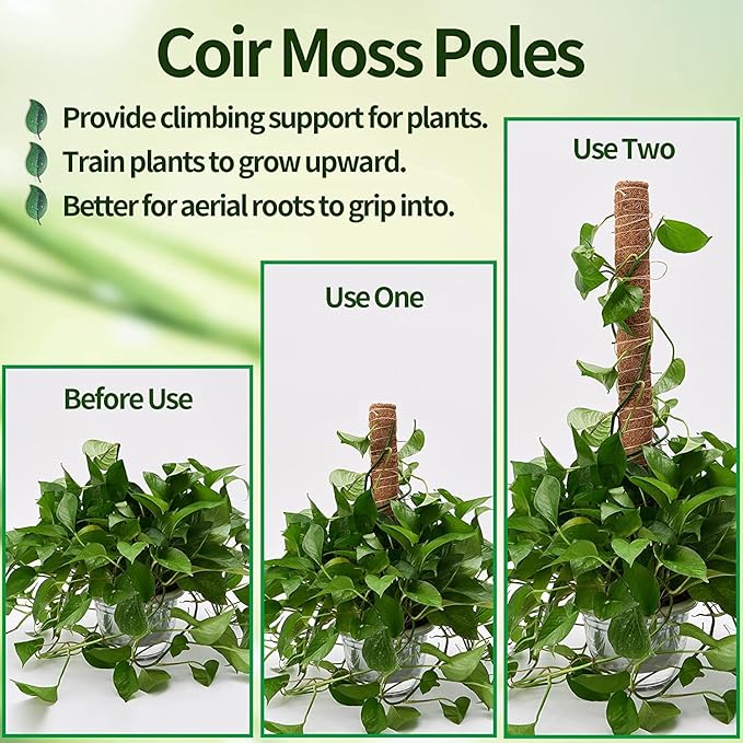8 Pcs Moss Pole for Plants Monstera Plant Support Stakes for Indoor Climbing Plants Grow Upwards with 65ft Twist Ties 13ft Jute Rope 6.5ft Hook-and-Loop Strip