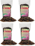 Premium Gardenera House Plant Potting Mix - 20 Quart - Fern + New Zealand Bark + Perlite | Great for Pothos Spider Plants Montsera Philodendron English Ivy (4 Bags of 5 Quart)