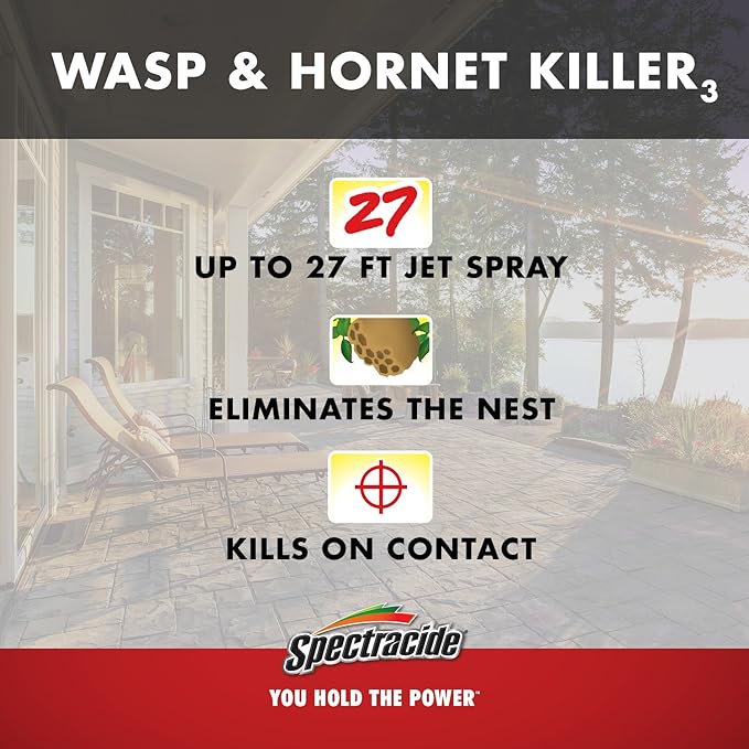 Spectracide Wasp and Hornet Killer Aerosol 20-Ounce 3-Pack