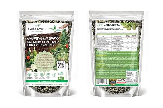 Evergreen Fertilizer – All-Purpose Granular Plant Food for Outdoor Trees and Shrubs Azaleas Magnolias Pines &amp Arborvitae – Slow-Release Formula (5 quarts)
