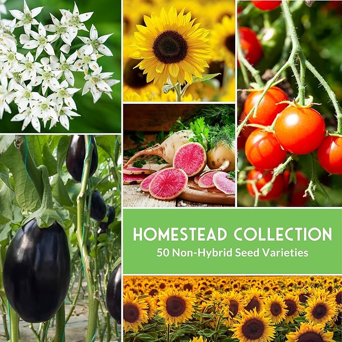 Homesteader Seed Vault - 50 Packs of Non-GMO Heirloom Vegetable Fruit Herb Seeds for Planting a Victory Garden - Grow Survival Food for Storage Emergency Preparedness - Survival Garden Seeds
