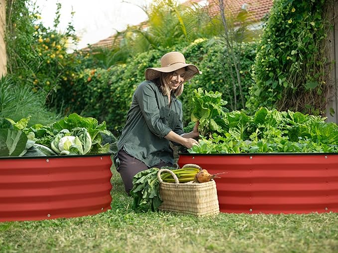 Round Galvanized Raised Garden Bed // 4×4×1 ft (2-Pack) Galvanized Raised Garden Beds Outdoor for Gardening Vegetables Flowers (Red) // Patented Tool-Free Design Round Planter