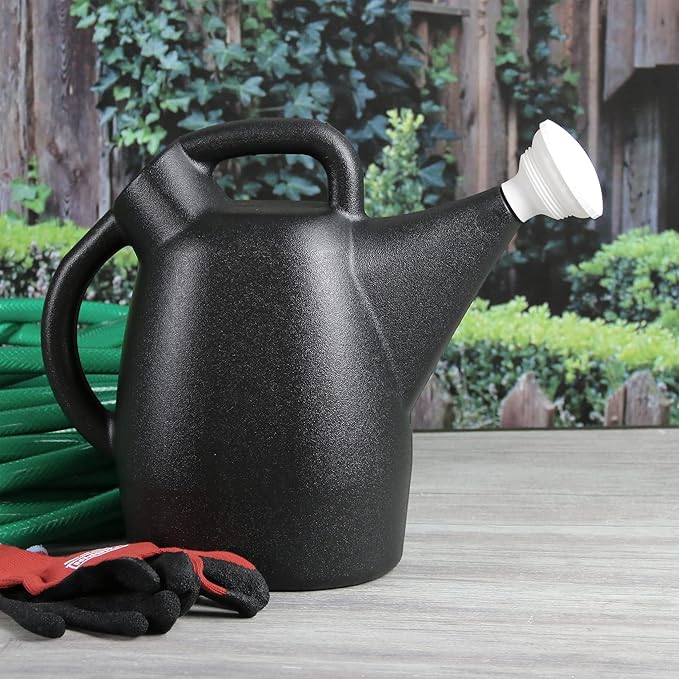 Chapin 2-Gallon 100% Recycled Outdoor/Indoor Watering Can Bundle with Jobe's 4 lbs Organic Vegetable &amp Tomato Fertilizer