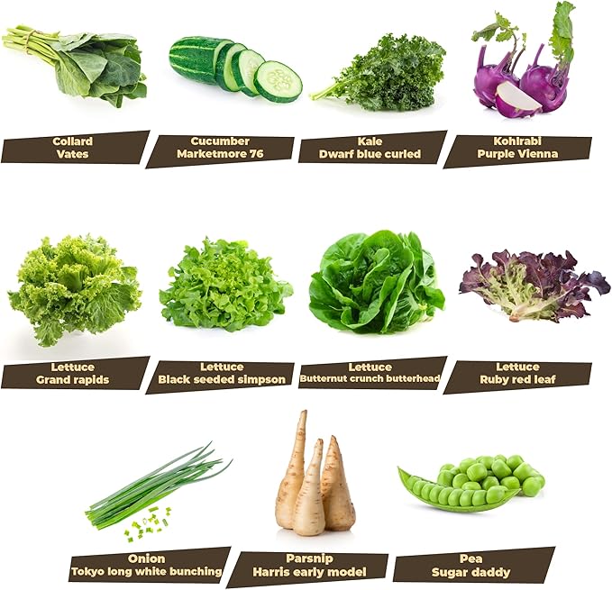33 Variety Seed Bank Survival Gear 30000 Premium Non-GMO Open Pollinated Heirloom Seeds Made in USA