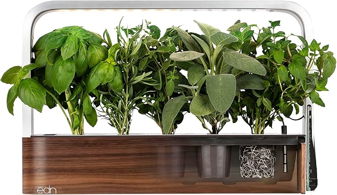 edn SmallGarden Kale SeedPods - 10 Pack
