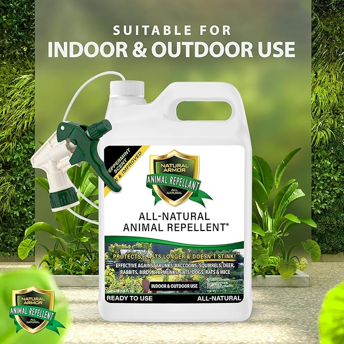Natural Armor Animal &amp Rodent Repellent Spray. Repels Skunks Raccoons Rats Mice Deer Rodents &amp Critters. Repeller &amp Deterrent in Powerful Peppermint Formula – 128 Fl Oz Gallon Ready to