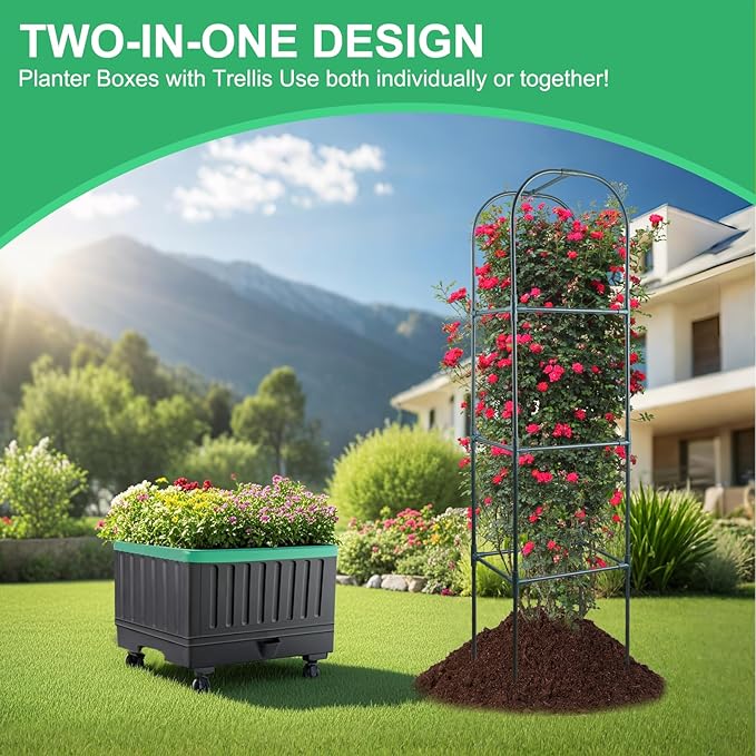 Raised Garden Bed with Self Watering Garden Pots Planter Box with Trellis for Climbing Plants Vegetable Vine Flowers Tomato Cage Planter for Indoor Outdoor Yard Greenhouse Use