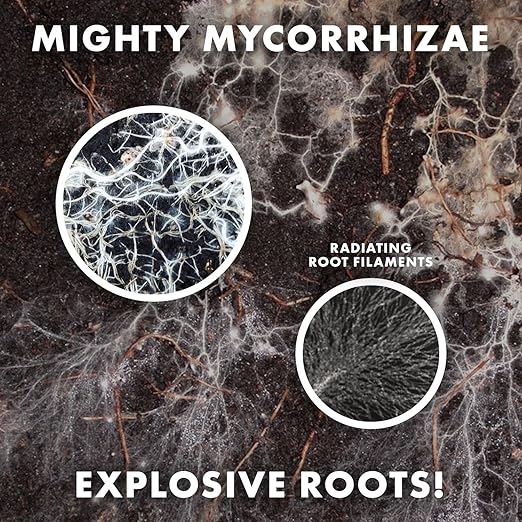 Mycorrhizae 16 Species Inoculant (1 lb) Improves Drought Tolerance + Saves Precious Water + Fertilizer Root Stimulator • Explodes Root Growth [1 lb Treats 19200 (4 inch) Plants]