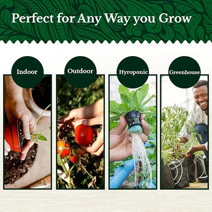 20 HERB Seeds Variety Pack - Complete Grow Kit Culinary Herbs Indoor Outdoors Herb Seeds Basil Oregano Mint Thyme &amp More Individually Seed Packets Starter Kit (Seeds Only)