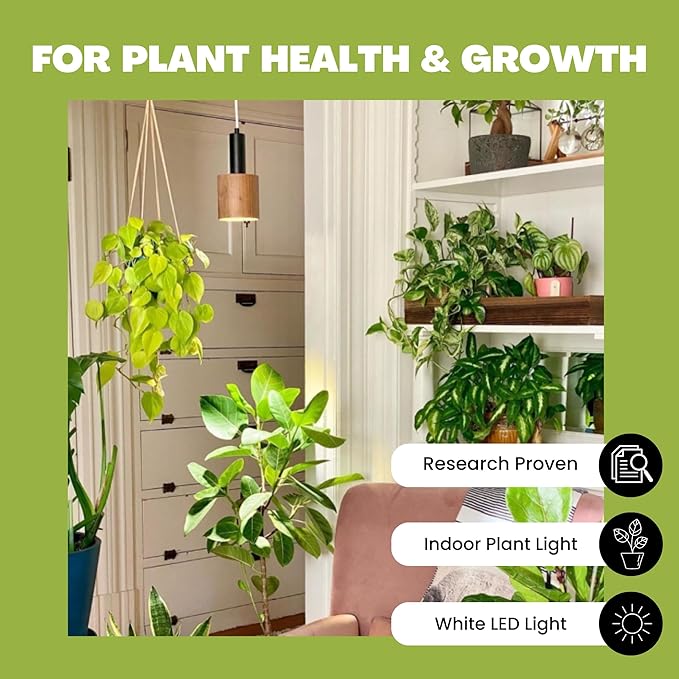NorbBOTANIC Premium LED Grow Light Full Spectrum PAR38 Bulb 1350 Lumens Energy-Efficient Sun-Spectrum Mimics Sunlight White Light Perfect for Indoor Plants Herbs Tropical Plants 16W 30 Degree