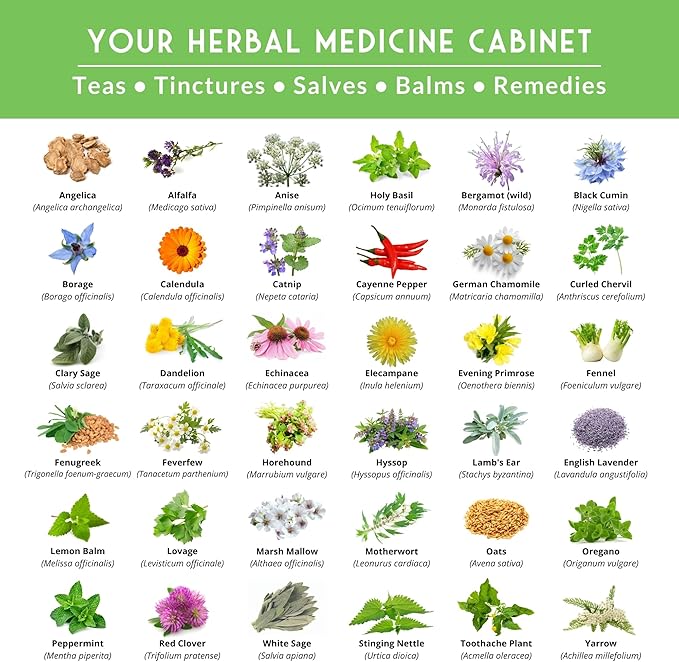 Ultimate Medicinal Herb Seeds Variety Pack – 36 Heirloom Non-GMO Healing Herbs for Planting | Wellness &amp Apothecary Garden Kit for Herbalists Homesteaders – Survival Garden Seeds (28000+)