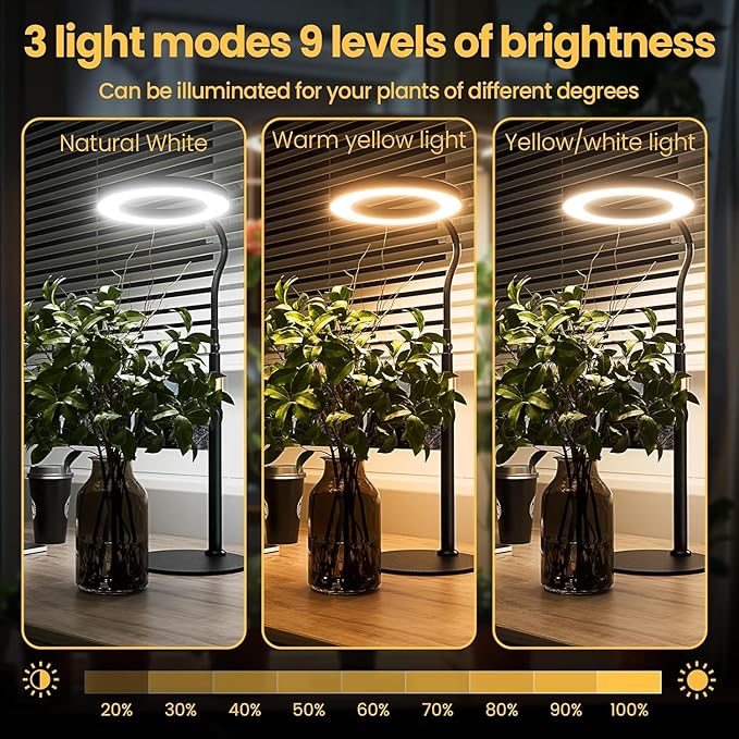bseah Grow Light Plant Stand Light for Indoor Plants 2 Pack Full Spectrum Desk Grow Lamp with Pedestal Automatic Timer for 3H/9H/12H Height Adjustable
