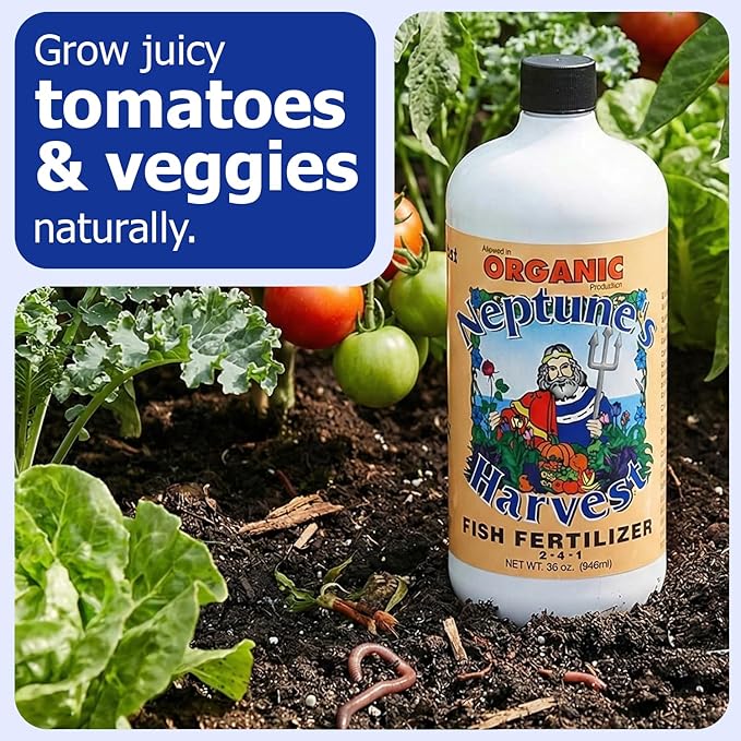 Neptune's Harvest Fish Fertilizer (2-4-1) - Organic Liquid Plant Fertilizer - Fish Hydrolysate for Vegetables Flowers Fruit Trees Grass - Indoor and Outdoor Plant Food (Quart)