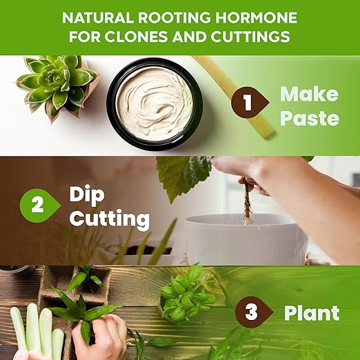 Big Foot Mycorrhizae Starter Bundles - for Established Plants Transplanting Rooting Powder - Big Foot Gold 4 oz + Root Boost 2 oz